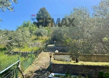 Giardino - Villa Contrada Bonagrazia
 
snc, Montelepre - foto 16