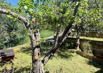 Giardino - Villa Contrada Bonagrazia
 
snc, Montelepre - foto 18