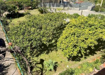 Giardino - Villa Contrada Bonagrazia
 
snc, Montelepre - foto 27