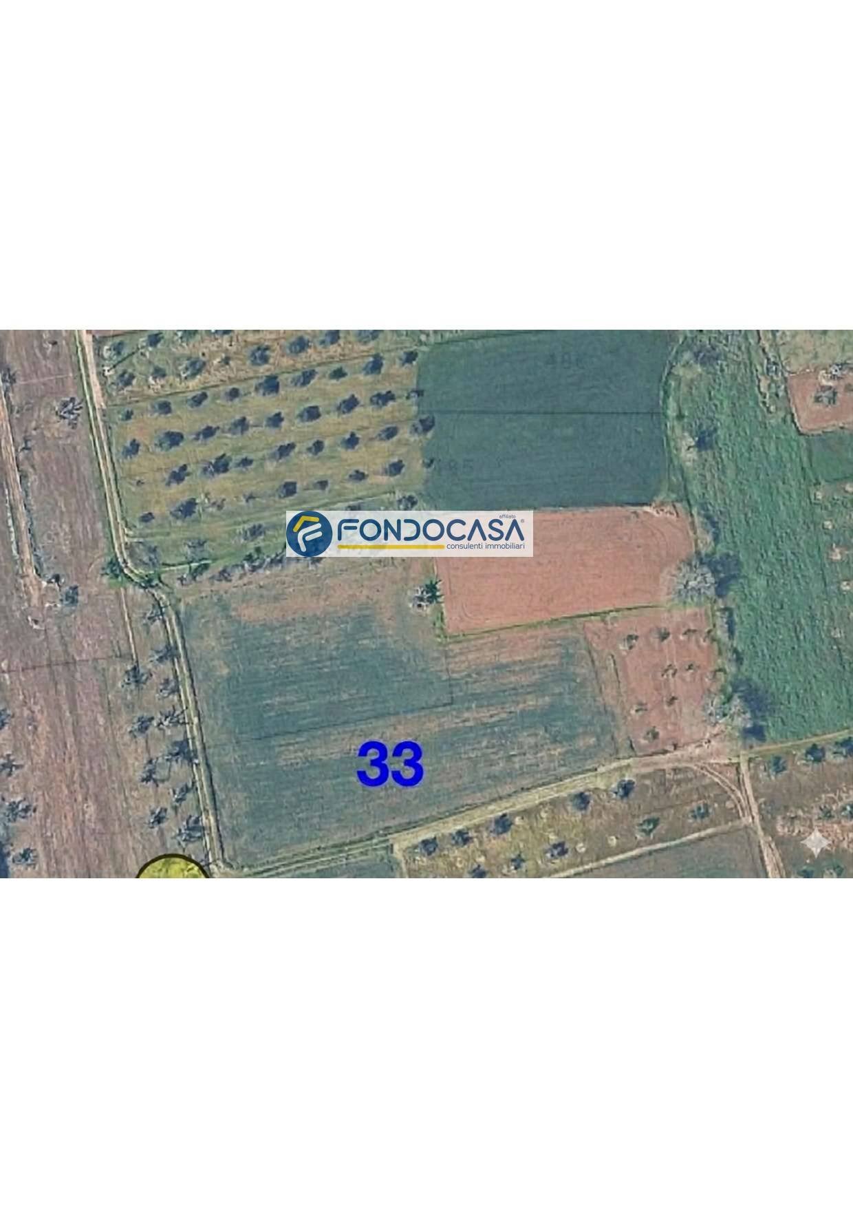 Foto 3 - Terreno edificabile strada vicinale mimmo
snc, Matino - foto 3