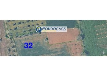 Foto 2 - Terreno edificabile strada vicinale mimmo
 
snc, Matino - foto 2