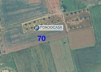 Foto 4 - Terreno edificabile strada vicinale mimmo
 
snc, Matino - foto 4