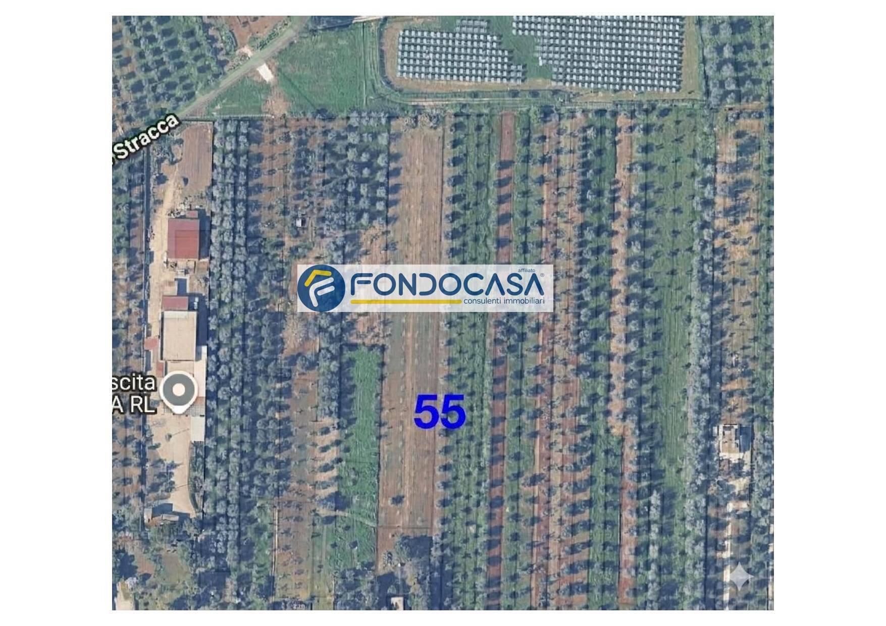 Foto 1 - Terreno edificabile strada vicinale stracca
 
snc, Collepasso - foto 1