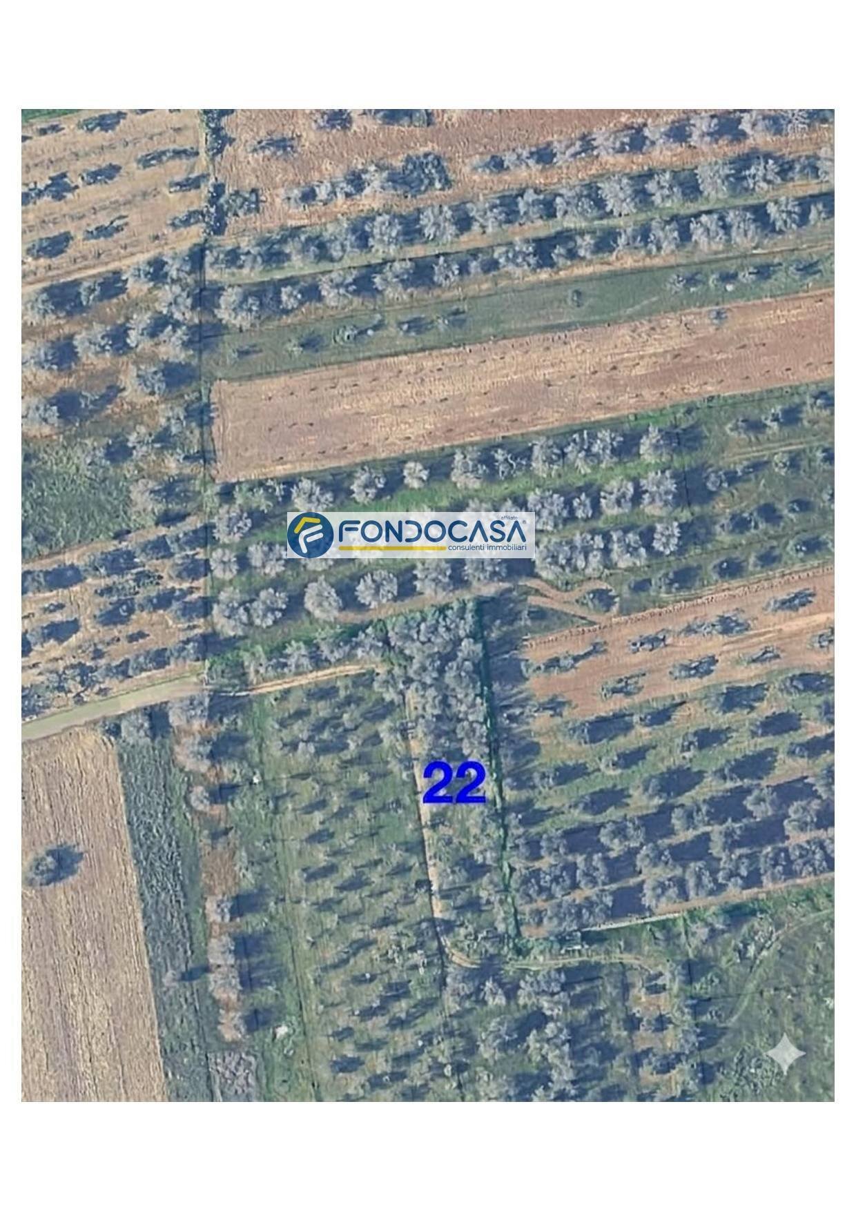 Foto 2 - Terreno edificabile strada vicinale stracca
 
snc, Collepasso - foto 2