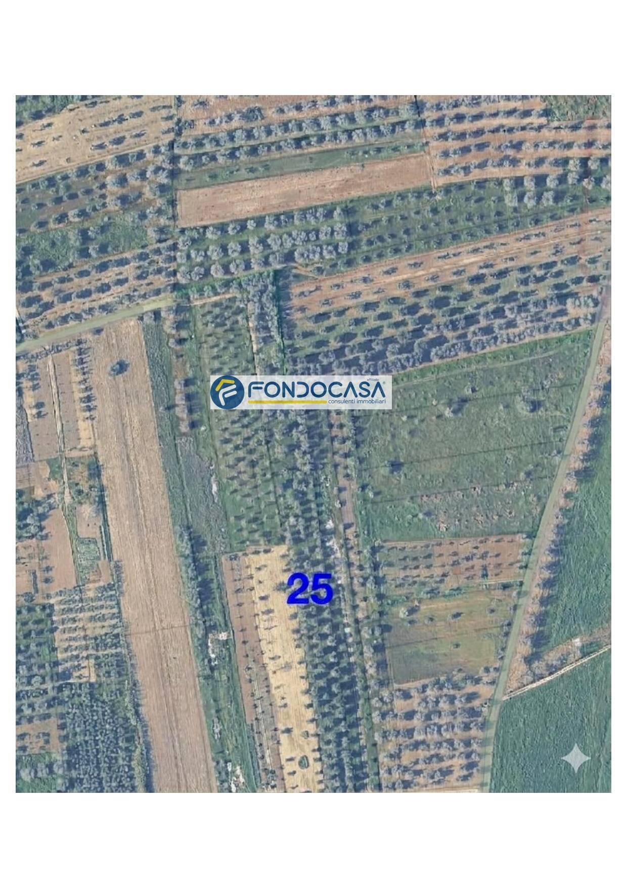 Foto 3 - Terreno edificabile strada vicinale stracca
 
snc, Collepasso - foto 3