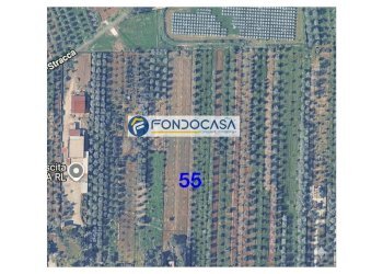 Foto 1 - Terreno edificabile strada vicinale stracca
 
snc, Collepasso - foto 1