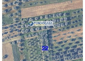 Foto 2 - Terreno edificabile strada vicinale stracca
 
snc, Collepasso - foto 2