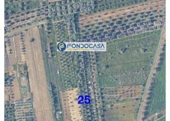 Foto 3 - Terreno edificabile strada vicinale stracca
 
snc, Collepasso - foto 3