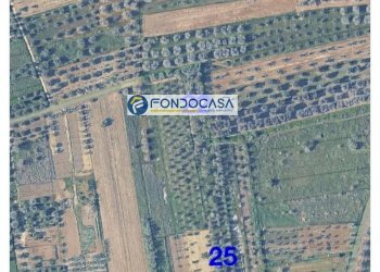 Foto 4 - Terreno edificabile strada vicinale stracca
 
snc, Collepasso - foto 4