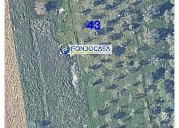 Foto 7 - Terreno edificabile strada vicinale stracca
 
snc, Collepasso - foto 7