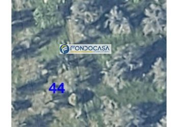 Foto 8 - Terreno edificabile strada vicinale stracca
 
snc, Collepasso - foto 8