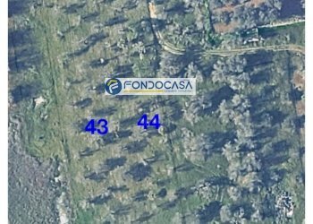 Foto 9 - Terreno edificabile strada vicinale stracca
 
snc, Collepasso - foto 9