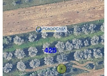 Foto 10 - Terreno edificabile strada vicinale stracca
 
snc, Collepasso - foto 10