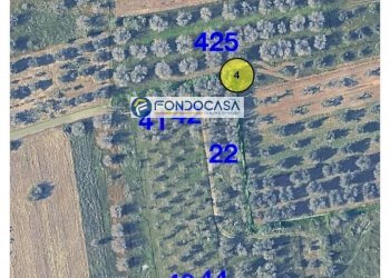 Foto 11 - Terreno edificabile strada vicinale stracca
 
snc, Collepasso - foto 11