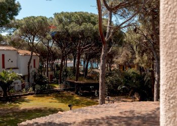 Giardino - Villa viale delle ore
 
24, Pula - foto 31