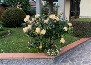 Foto 4 - Villa Via del Tabernacolo
 
10, Barberino di Mugello - foto 4