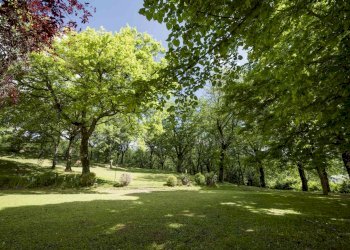 Foto 29 - Villa Via di Spazzavento
 
26, Scarperia e San Piero - foto 29