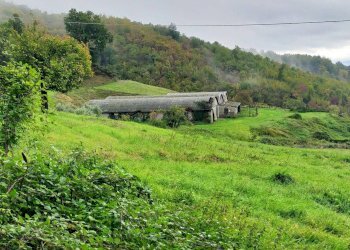 Foto 6 - Rustico Via del Giogo
 
4, Scarperia e San Piero - foto 6