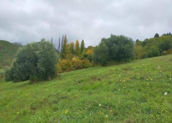 Foto 7 - Rustico Via del Giogo
 
4, Scarperia e San Piero - foto 7