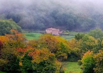 Foto 9 - Rustico Via del Giogo
 
4, Scarperia e San Piero - foto 9