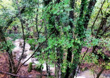 Foto 10 - Rustico Via del Giogo
 
4, Scarperia e San Piero - foto 10