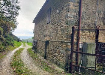 Foto 13 - Rustico Via del Giogo
 
4, Scarperia e San Piero - foto 13