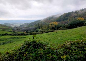 Foto 17 - Rustico Via del Giogo
 
4, Scarperia e San Piero - foto 17