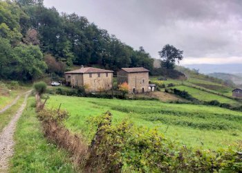 Foto 19 - Rustico Via del Giogo
 
4, Scarperia e San Piero - foto 19