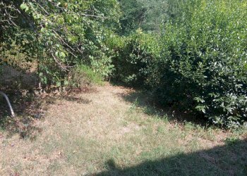 Foto 20 - Apartment Via Piana
121, Pontassieve - photo 20