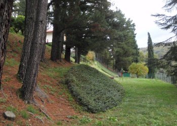 Foto 12 - Villa Frazione Dicomano Campagna
 
11, Dicomano - foto 12