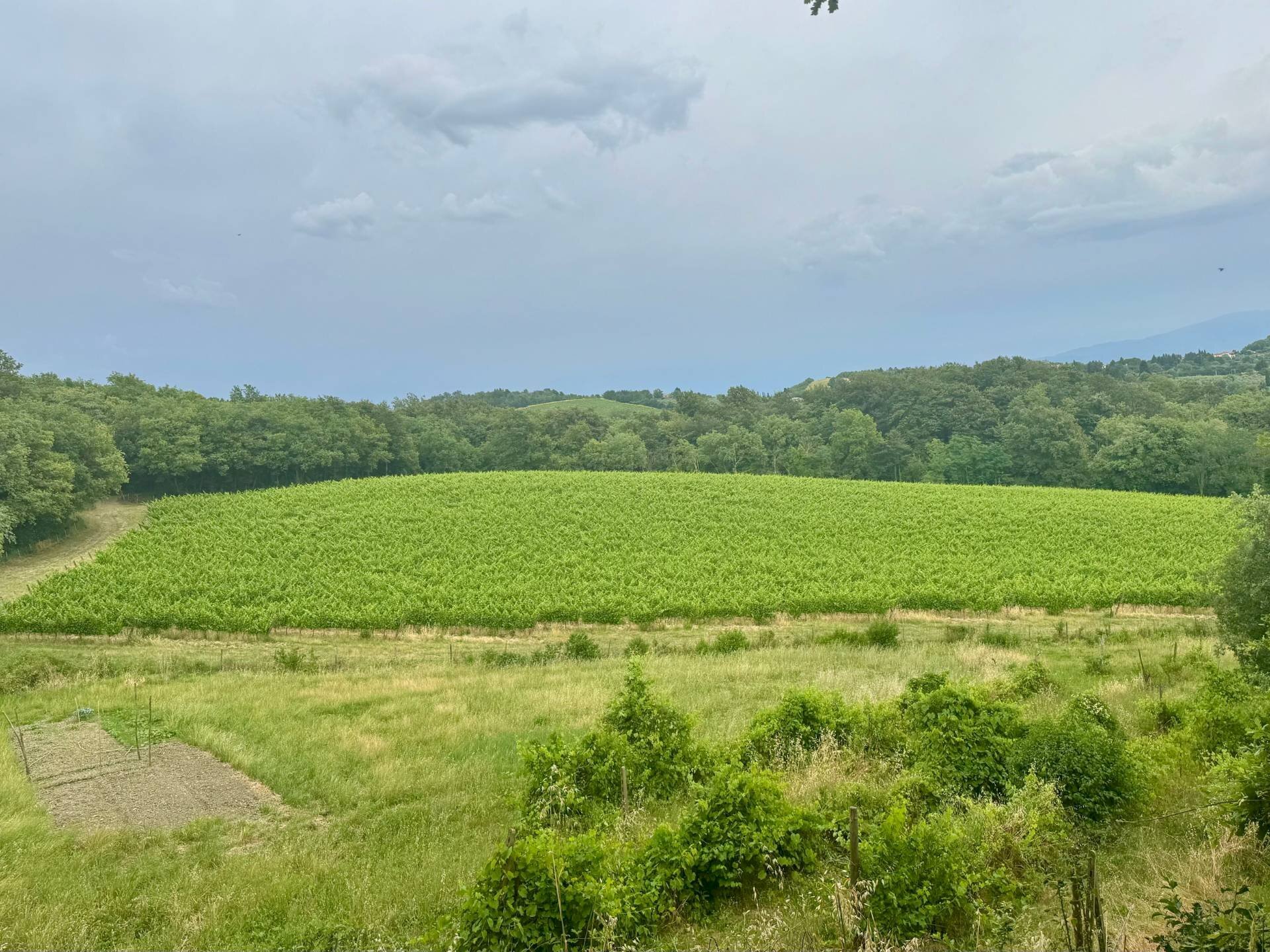 Foto 3 - Rustico via di Monteloro, Pontassieve - foto 3