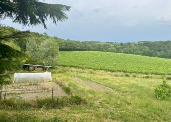 Foto 22 - Rustico via di Monteloro, Pontassieve - foto 22