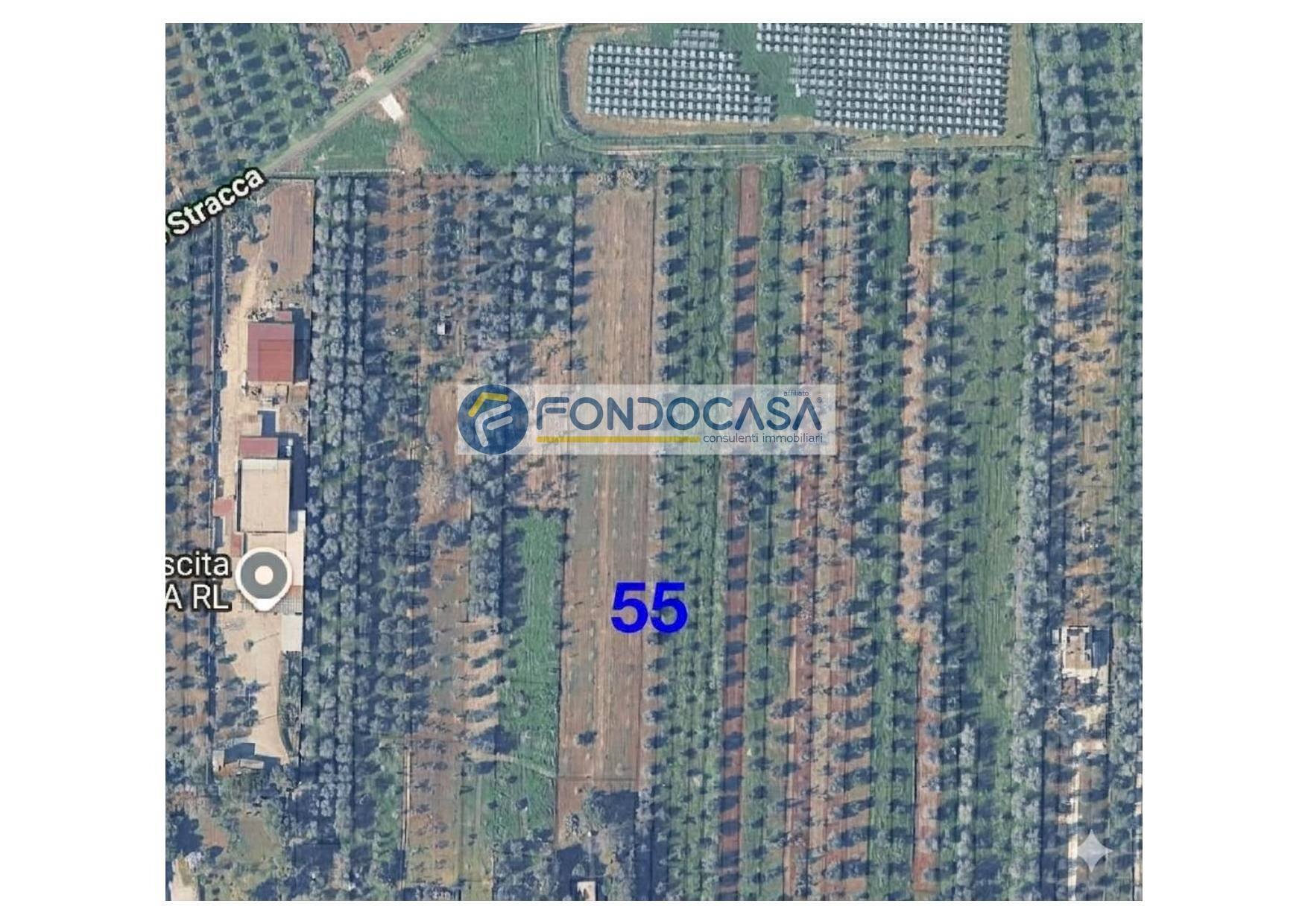 Foto 1 - Terreno edificabile strada vicinale stracca
 
snc, Collepasso - foto 1