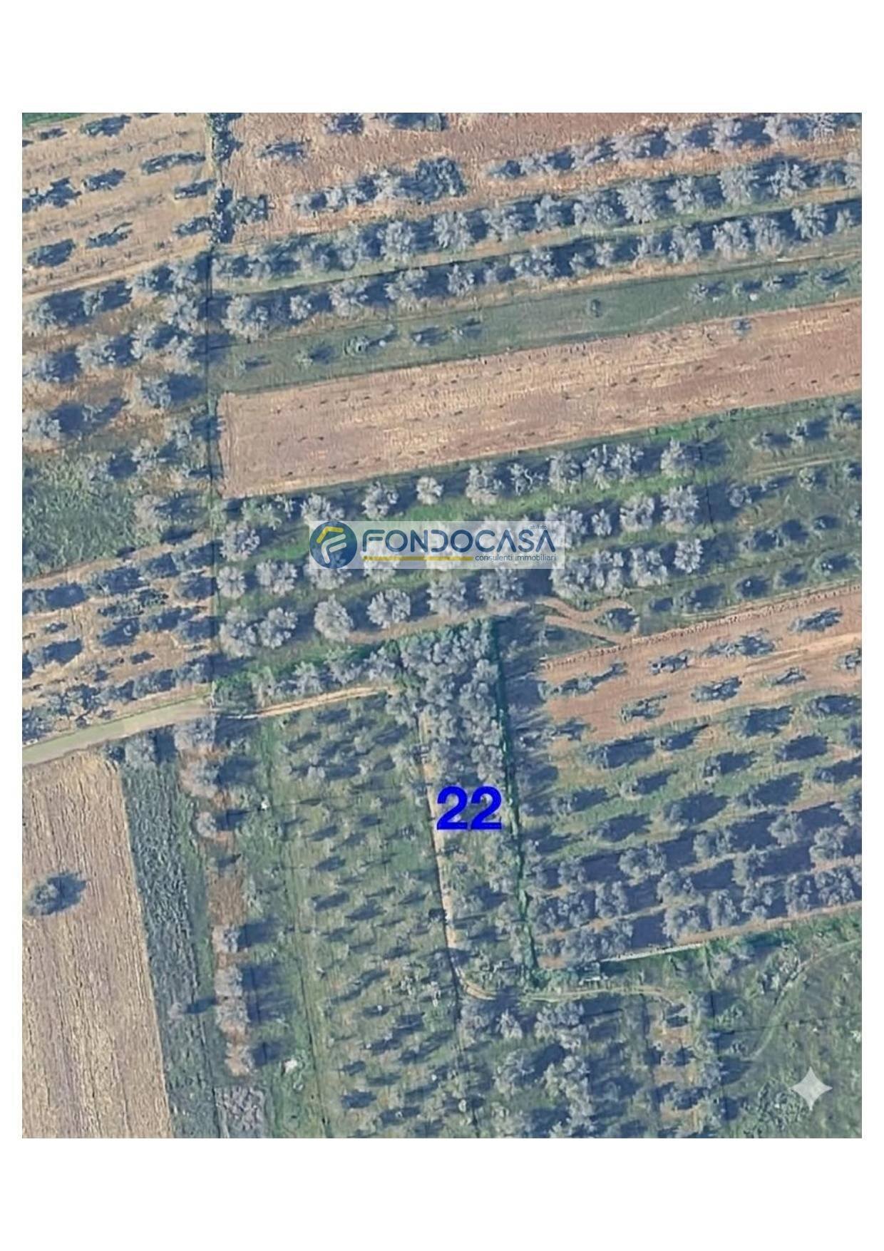 Foto 2 - Terreno edificabile strada vicinale stracca
snc, Collepasso - foto 2