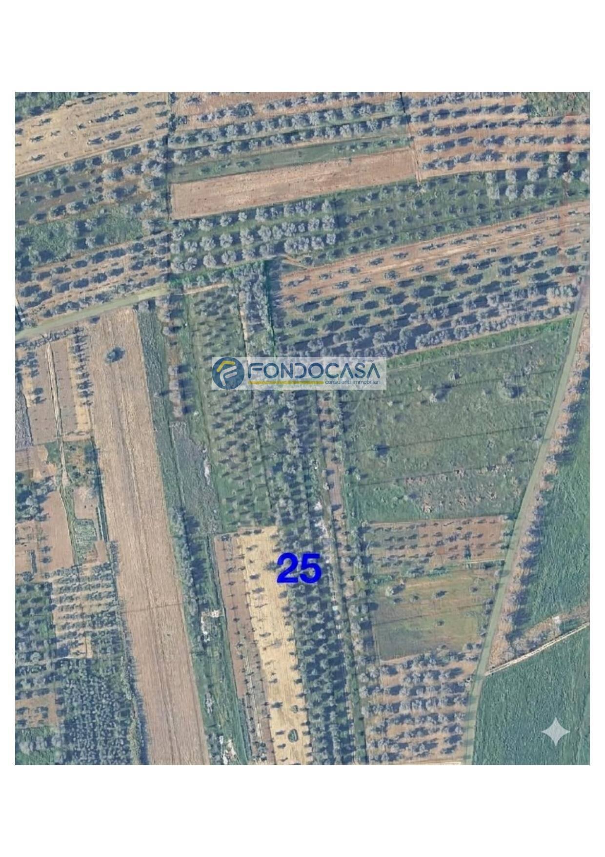 Foto 3 - Terreno edificabile strada vicinale stracca
snc, Collepasso - foto 3