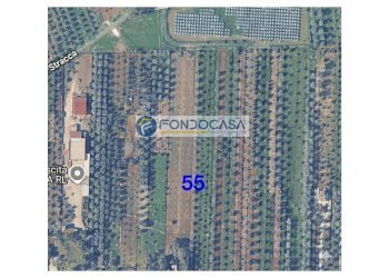 Foto 1 - Terreno edificabile strada vicinale stracca
 
snc, Collepasso - foto 1