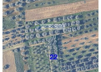 Foto 2 - Terreno edificabile strada vicinale stracca
 
snc, Collepasso - foto 2