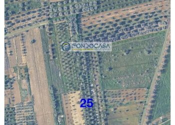 Foto 3 - Terreno edificabile strada vicinale stracca
 
snc, Collepasso - foto 3