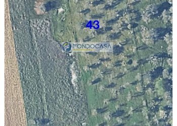 Foto 6 - Terreno edificabile strada vicinale stracca
 
snc, Collepasso - foto 6