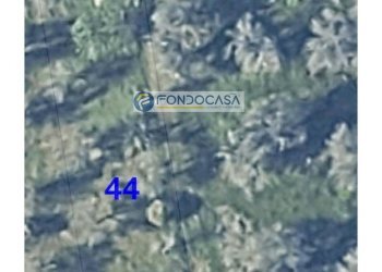 Foto 7 - Terreno edificabile strada vicinale stracca
 
snc, Collepasso - foto 7