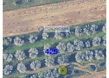 Foto 8 - Terreno edificabile strada vicinale stracca
 
snc, Collepasso - foto 8