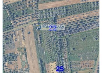 Foto 9 - Terreno edificabile strada vicinale stracca
 
snc, Collepasso - foto 9