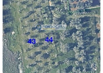 Foto 10 - Terreno edificabile strada vicinale stracca
 
snc, Collepasso - foto 10