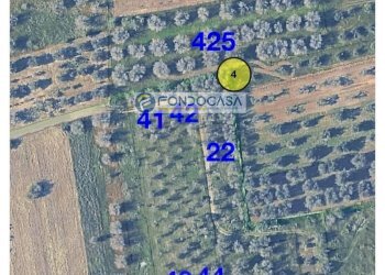 Foto 11 - Terreno edificabile strada vicinale stracca
 
snc, Collepasso - foto 11