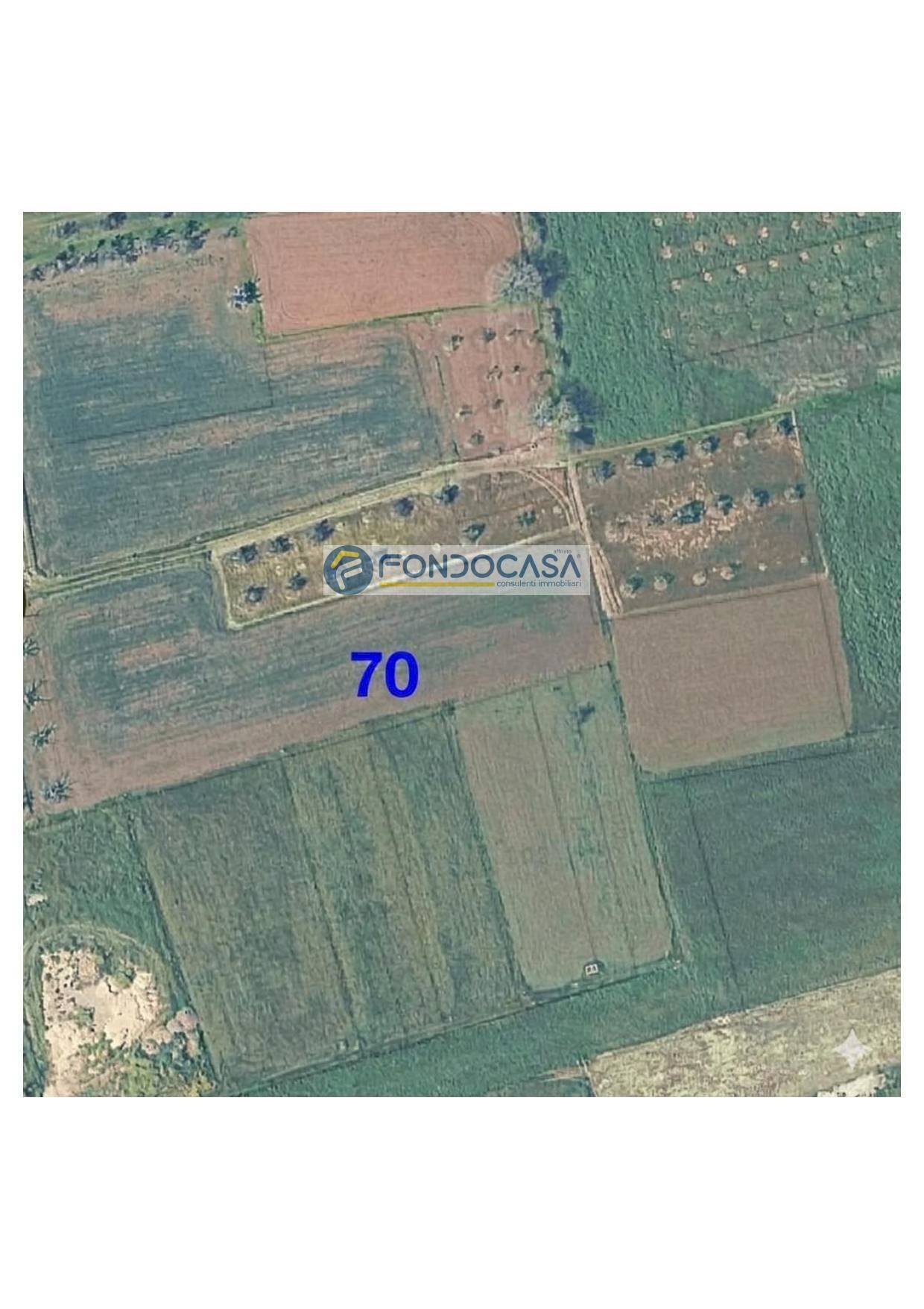 Foto 1 - Terreno edificabile strada vicinale mimmo
 
snc, Matino - foto 1