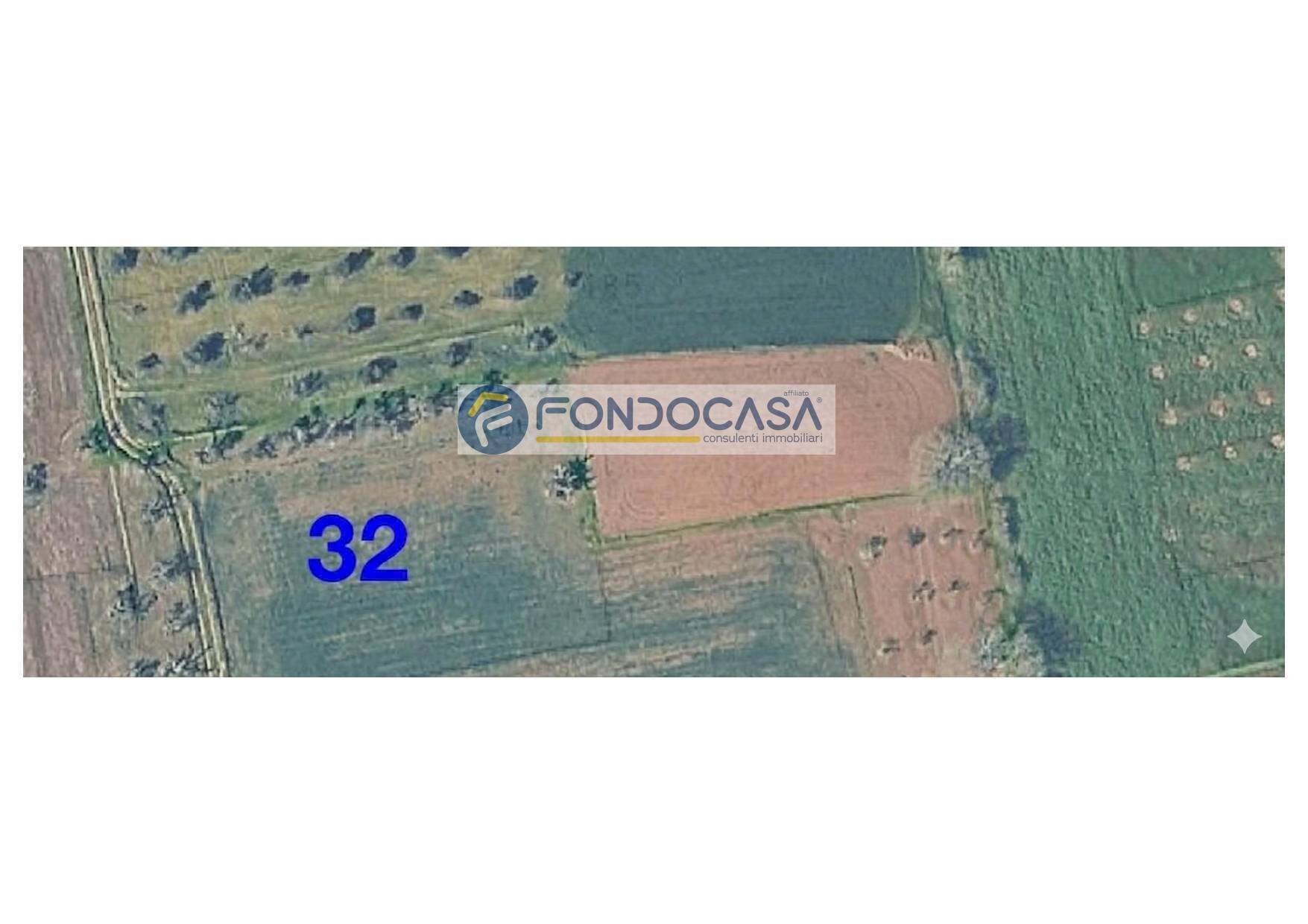 Foto 2 - Terreno edificabile strada vicinale mimmo
snc, Matino - foto 2
