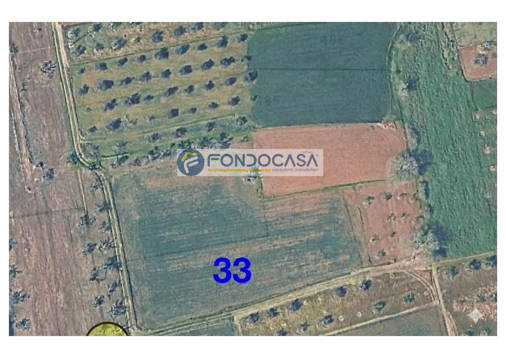 Foto 3 - Terreno edificabile strada vicinale mimmo
snc, Matino - foto 3