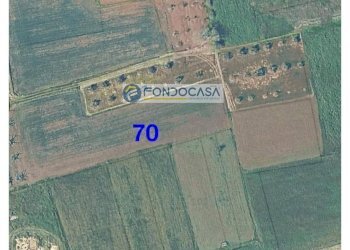 Foto 1 - Terreno edificabile strada vicinale mimmo
 
snc, Matino - foto 1