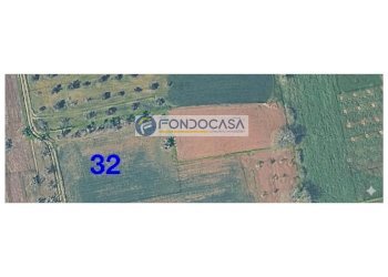 Foto 2 - Terreno edificabile strada vicinale mimmo
 
snc, Matino - foto 2
