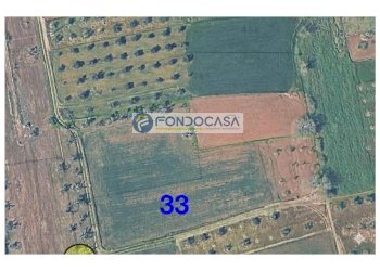 Foto 3 - Terreno edificabile strada vicinale mimmo
 
snc, Matino - foto 3